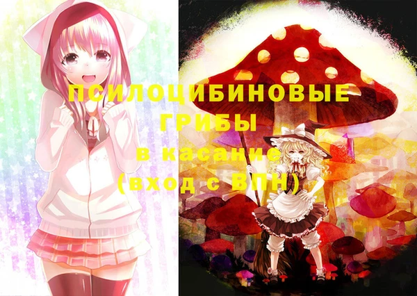 экстази Богородицк