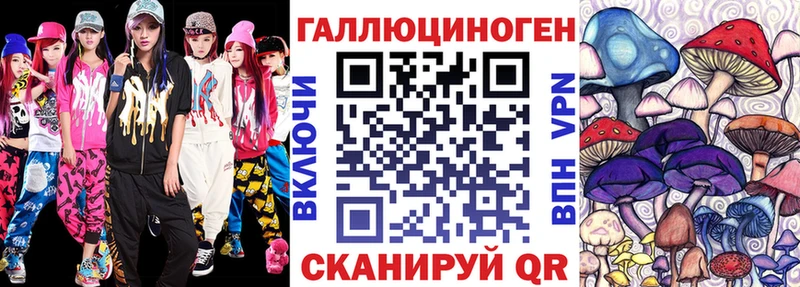 Галлюциногенные грибы Psilocybe  Купить закладки  Темников 